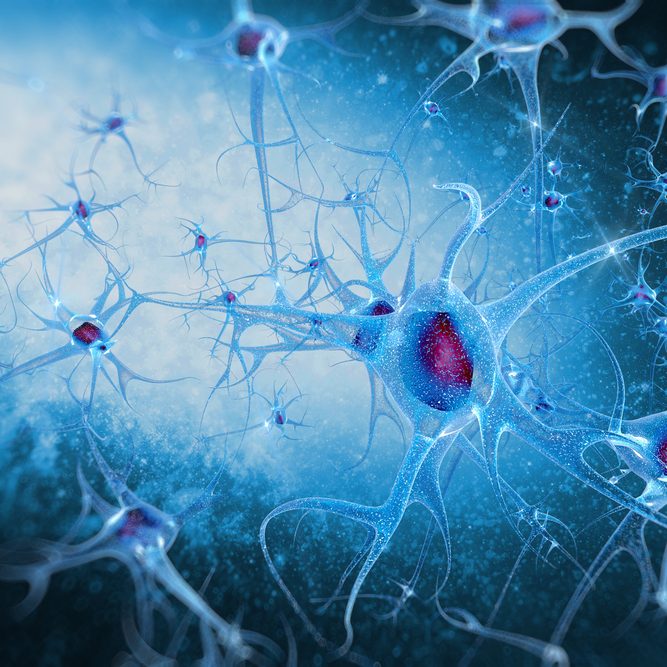 Artistic rendering of neurons with branching connections in blue tones.