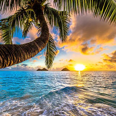 Tropical beach at sunset with palm trees and distant islands under a colorful sky.